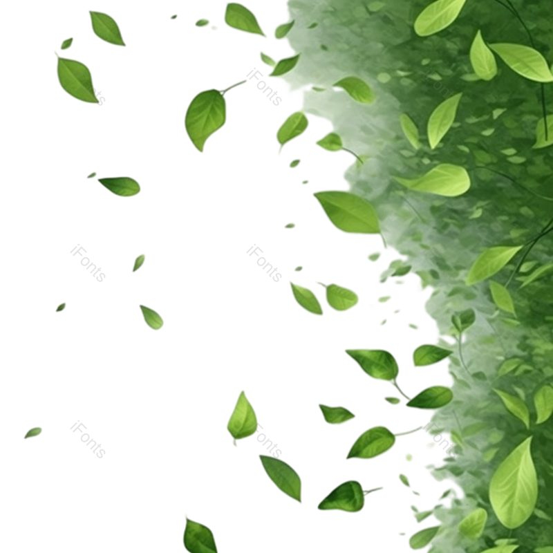 装饰图片,清新元素,动感PNG,装饰树叶免抠素材